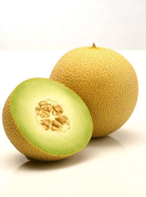GALIA - Dako Melon Seeds Galia - 1000 seeds