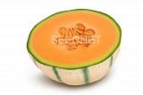 Pregiato F1 Melon Seeds 1000 seeds