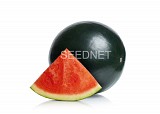 Morena F1 Watermelon Seeds Seedless