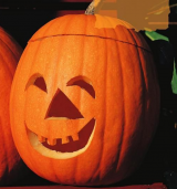 Jack O' Lantern Pumpin Seeds