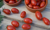 Dolcisio Tomato Seeds