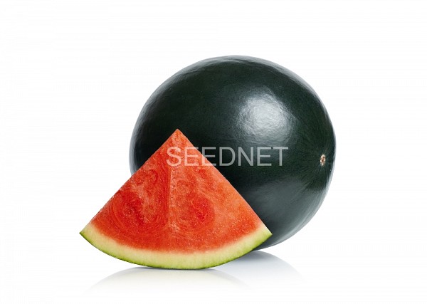 Pata Negra Watermelon Seeds