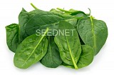Samos Spinach Seeds