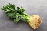 Diamant F1 (P) Celeriac Seeds