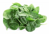 Ballet Spinach Seeds