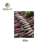 Alto Beetroot Seeds