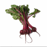 Kestrel Beetroot Seeds
