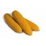 Shinerock F1 Sweetcorn Seeds