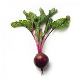 Zeppo(50.0) Beetroot Seeds