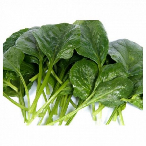 SPINACH SEEDS - Helios Spinach Seeds - 50000 seeds