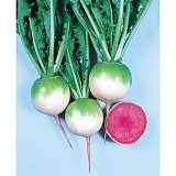 Red Meat Radish Seeds