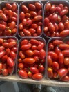 Nysiros Tomato Seeds Specialties