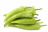 Beno Pepper Seeds 100 seeds