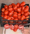 Tomato seeds Serengheti-1000 seeds
