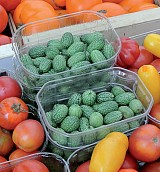 Solana Cucumber Seeds 500 seeds