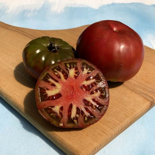 SPECIALTIES - Tomato seeds Cherokee-1000 seeds - 1000 seeds