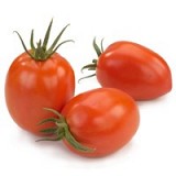 Whitney GSPP F1 Tomato Seeds 500 seeds