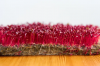 BIO Amaranth Red Microgreens Seeds 250g