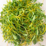 Yellow Beet Microgreens Seeds 500g