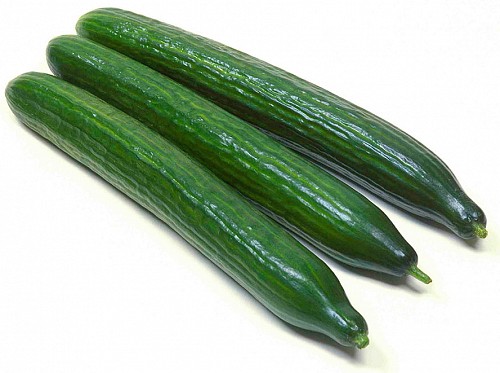 LONG - Kentavros Seeds Cucumber 500 seeds - 500 seeds
