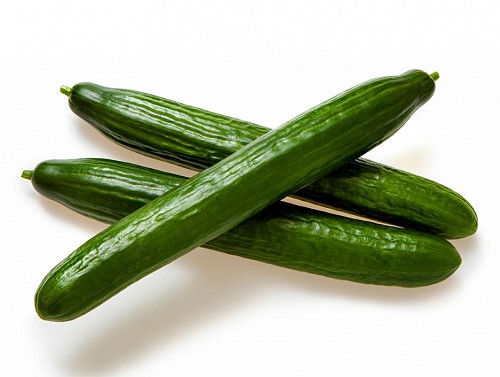 LONG - Proteas Cucumber Seeds 500 seeds - 500 seeds