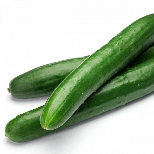 LONG - Oceanos Cucumber Seeds 500 seeds - 500 seeds