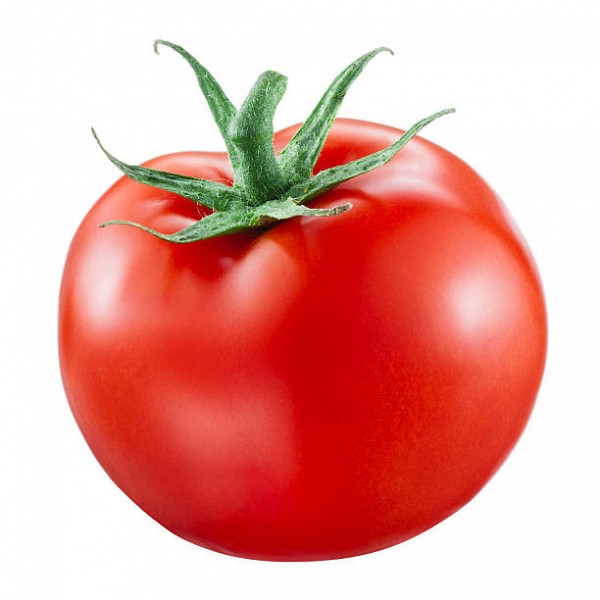 Penekra F1 Tomato Seeds 500 seeds