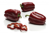 Medulas Pepper Seeds 1000 seeds