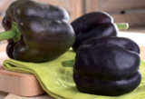 Bellania F1 Pepper Seeds 1000 seeds