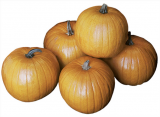 Aspen F1 Decorative Gourd Seeds 250 seeds