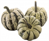 Sweet Dumpling Pumpkin Seeds 1000 seeds