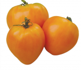 Ochsenherz Orange  Tomato Seeds 1000 seeds
