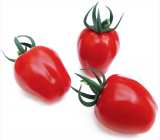 Lovertino F1 Tomato Seeds 1000 seeds