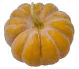 Muski Teeny F1 Pumpkin Seeds 500 seeds
