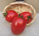 Prosperiant F1 Tomato Seeds 1000 seeds