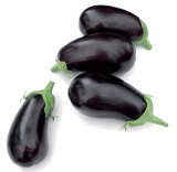 Elisa F1 Eggplant Seeds 1000 seeds