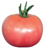 Berner Rose (De Berne) Tomato Seeds 1000 seeds