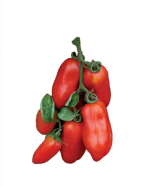 San Marzano F1 Tomato Seeds 1000 seeds