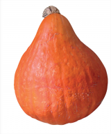 Maggic F1 Pumkin Seeds 1000 seeds