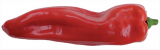 Estilo Peppers Seeds 1000 seeds