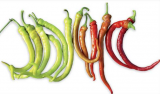 Milder Spiral Pepper Seeds 1000 seeds