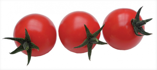 CHERRY - Ready F1 Tomato Seeds 1000 seeds - 1000 seeds