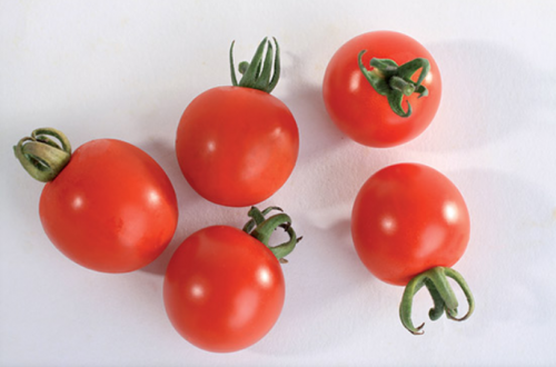 CHERRY - Supersweet F1 Tomato Seeds 1000 seeds - 1000 seeds