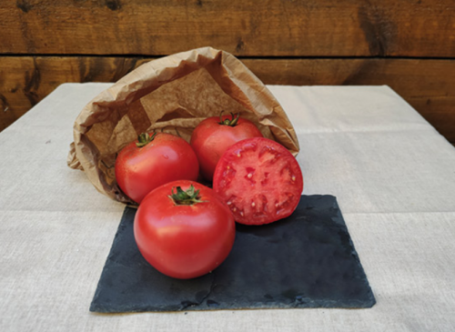 BEEF - Galadiant F1 Tomato Seeds 1000 seeds - 1000 seeds