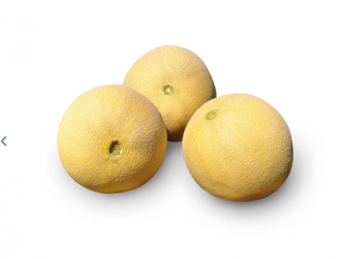 GALIA - Jucar F1 Melon Seeds 1000 seeds - 1000 seeds