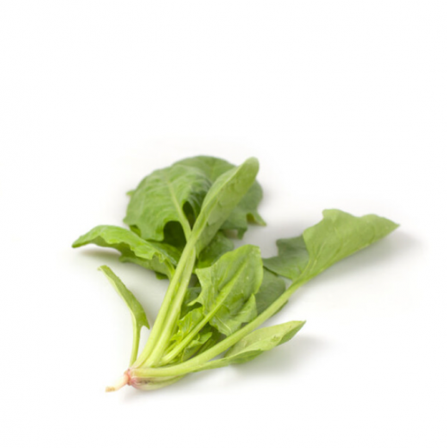 SPINACH SEEDS - Eagle F1 Spinach Seeds 25.000 seeds - 25000 seeds