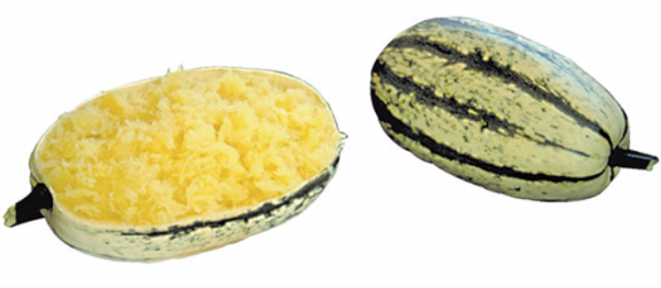 Pastini F1 Pumpkin Seeds 1000 seeds
