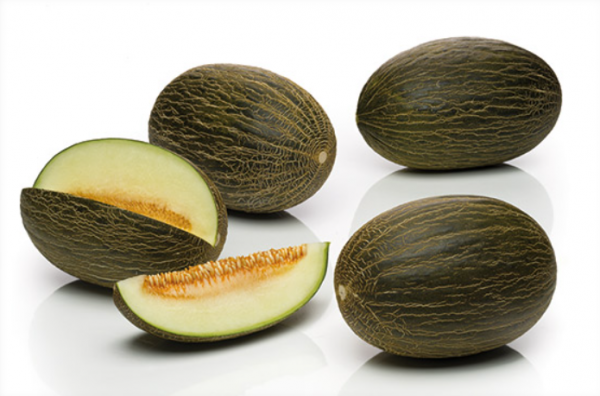 Mirambel F1 Melon Seeds 250 seeds