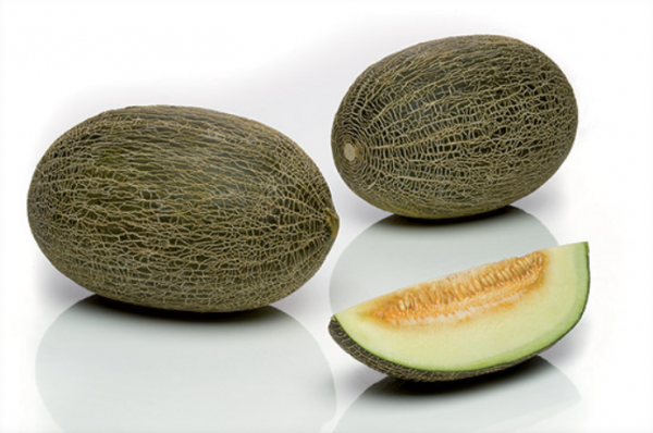 Valentin F1 Melon Seeds 250 seeds