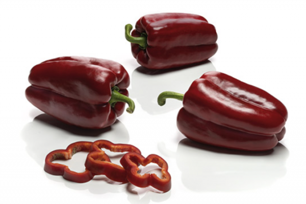 Medulas Pepper Seeds 1000 seeds